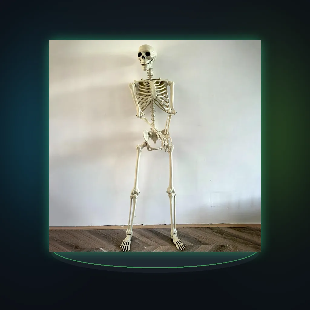Halloween Realistic Body Bones Life Size Human Skeleton With Posable Joints Simulation Skull Ornament Haunted House Horror Props